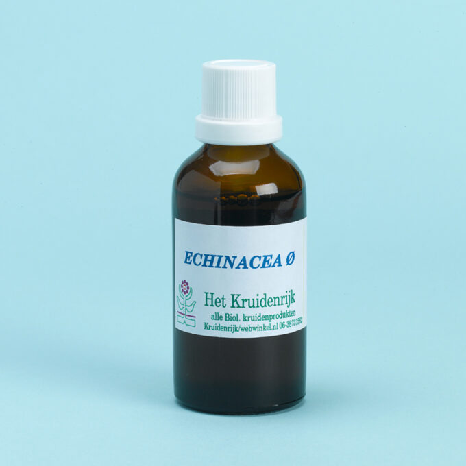 Echinacea purpurea = Zonnehoed rode(Biol)