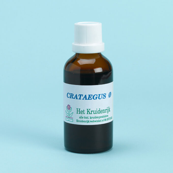 Crataegus =  Meidoorn(Biol)