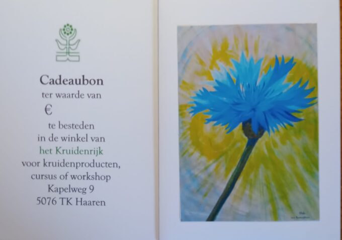 Cadeau Bon of Kadobon